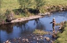 Fishing in Pentrefoelas