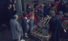 Coracle Making