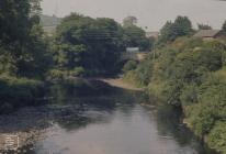 Abercynon: Plant/tree & Landscape