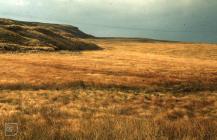 Llyn Fawr: Landscape & Geology