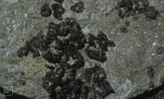 Glen Morlais: Lichen