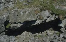 Dowlais, Merthyr Tydfil: Geology & Bird