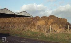 Boverton, Llantwit Major: Landscape &...