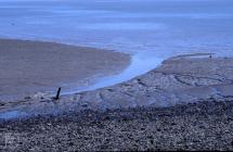 Cardiff Heliport, Cardiff: Landscape & Water