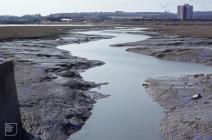 Hammadryad Marsh, Cardiff: Landscape & Water