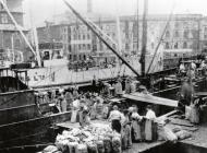 Women unloading potatoes