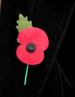 British Legion Red Poppy