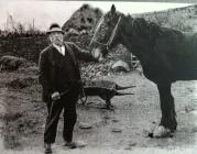 BRYNFAB WITH HORSE.