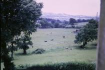 View from St Illtyds vicarage.