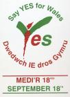 1997 Referendum poster