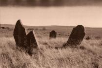 Cefn Golau cholera cemetery, Tredegar, 2015