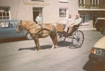 An Outing with horse and cart