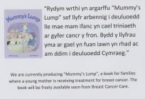 Taflen hyrwyddo llyfryn ‘Lwmp Mam’ 