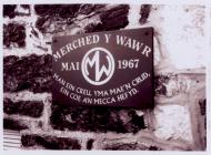 A collection of photographs of Merched y Wawr y...