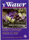 Y WAWR- Merched y Wawr’s quarterly magazine....