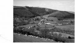 William Vaughan & sheep looking down on...