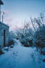 Snowfall at Pencraig, Talley.