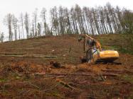 The logs are dragged up the slope.