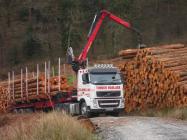 The logs are loaded onto the truck.