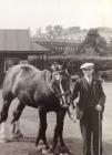 Newbridge Pit horse man 