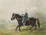 ‘Boy on a pony’ by Penry Williams