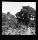 Ceiliog Mawr at Dinorwig Quarry