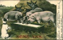 Postcard from William Benjamin Thomas to his...