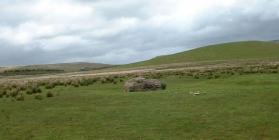 Carreg y ffylfan on Waun Common