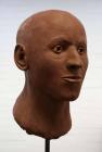 Facial reconstruction of a Neolithic man