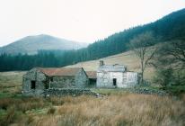 Blaen Myherin, Devil's Bridge, Ceredigion 2003(?)