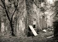 White Door, Aberglasney, Carmarthenshire 1995