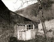 HAFOD (door rear of greenhouse), Pontrhydygroes...