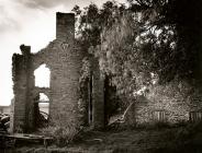 LLWYNYWORMWOOD, Myddfai, Carmarthenshire 1996