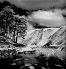 Nr Lluest Dolgwiall, Llangurig 1992