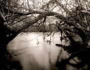 RIVER RHEIDOL: Ox-Bow Lakes on the River...