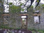 Blaen Gorphen, Upland Tregaron, Ceredigion 2011