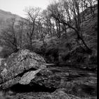 Ysbyty Cynfyn, Ponterwyd 1992