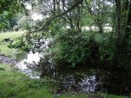 Foelallt Mansion Pond (???),Llanddewi-Brefi,...