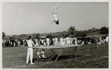 Gymnastics Display