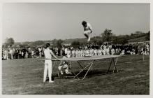 Gymnastics Display