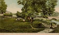 View of Millbrook and Mill Stream, Dinas Powys....