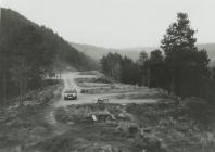 Forest Picnic Site