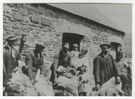 Shearing at Maesglas