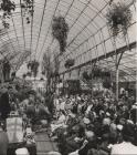 Opening of Floral Hall