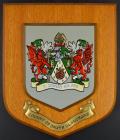 County of South Glamorgan Shield