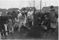 Druids Green estate, Cowbridge ca 1970 