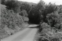 Rhiwgreiddyn slate quarry