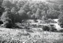 The slate waste tips of Rhiwgreiddyn quarry