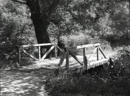 Wooden bridge to Hopley Heights