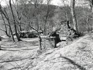 Rhiwgreiddyn slate quarry